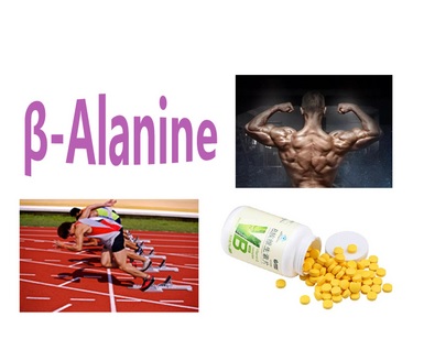β-alanine, beta-alaline 